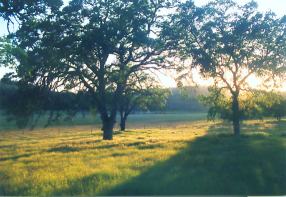 Sunlight on the Valley